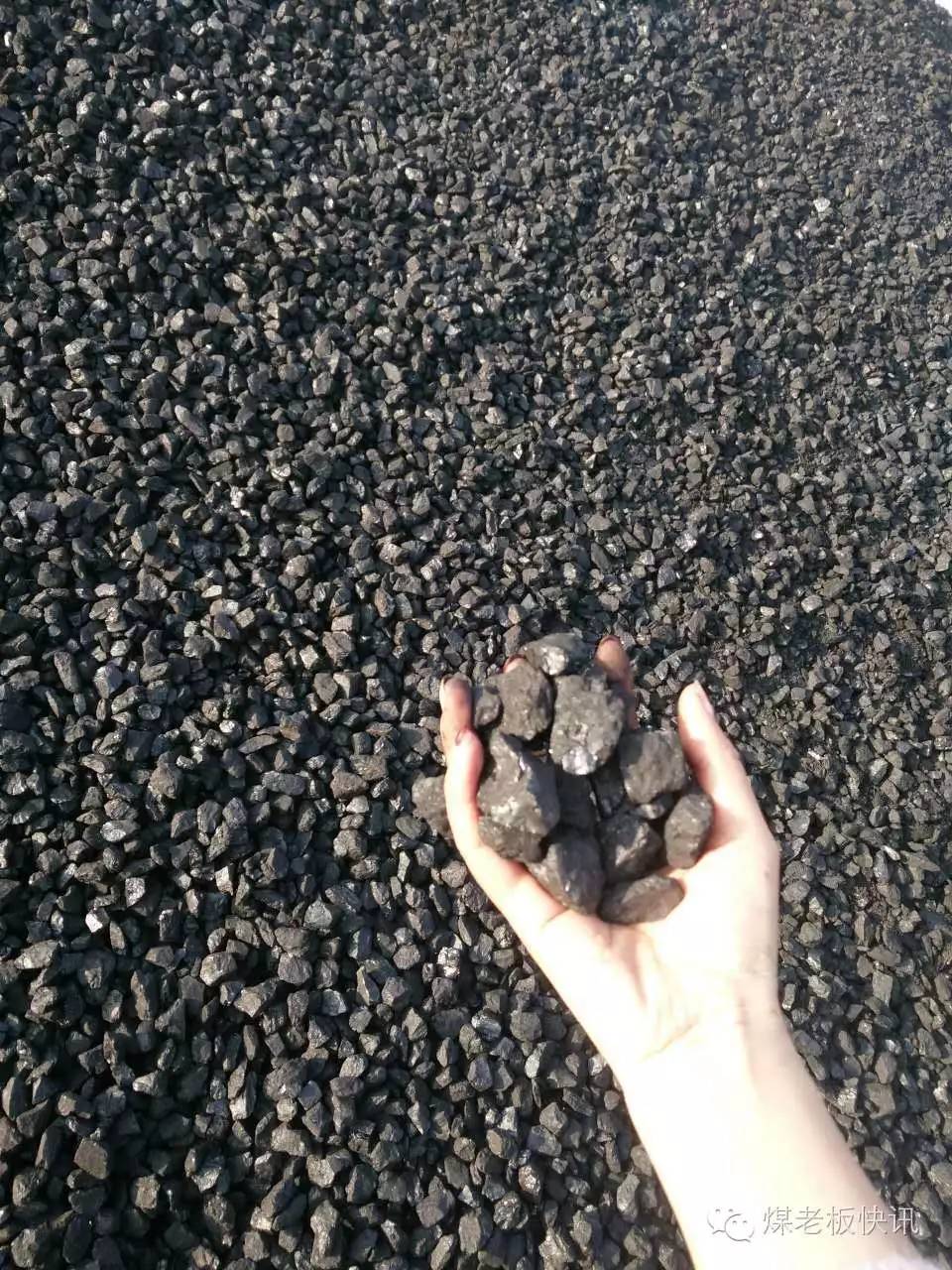 东川25籽煤.jpg